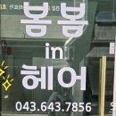모카in헤어