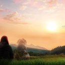 경북반려동물장례식장 이미지