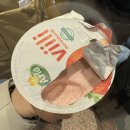[내돈내산] 핀란드 야간열차 VR 탑승후기 헬싱키에서 로바니에미로 이동