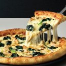 윈터블라썸 이미지