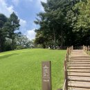 강변의 하루 | 여의도 불꽃축제 명당 카페 '강변서재' 방문 후기