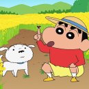 정원운수 이미지