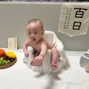 셀프 백일잔치, 새봄 백일상 대여 후기