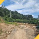 진천농다리공인중개사사무소 이미지