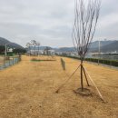 용원파크 이미지