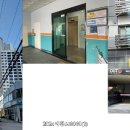 진성투토펠리체 이미지