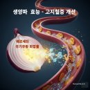 황농경로당 | 🧅생양파 효능