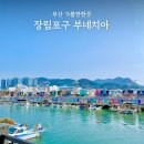 장림무지개 작은도서관 | 부산 장림포구 부네치아 실제 후기 주차 포토존 위치