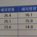 강남다이어트 서지영의 살깎아주는언니 예비신부관리 후기