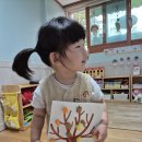 플레이콘으로 단풍나무 만들어요 이미지