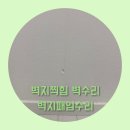 어반스테이 안양점 | 벽지찍힘 벽수리 벽지패임수리 석고깨짐 벽지동시복원