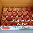 옛날 부사 사과(후지 사과) 판매합니다. 10Kg 26,000원~ 이미지