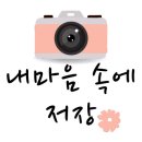 신월로 네이버블로그
