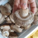 미석농장 이미지