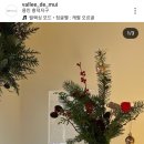 발레드무이 이미지