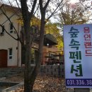 용인스파랜드 티스토리