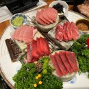 내포참치 이미지