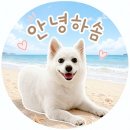 발뮤다 더 브루 커피머신 후기, 홈카페 감성까지 만족!