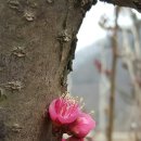 웃어야 웃을 일 이미지