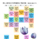 딴스스튜디오 이미지