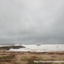 도깨비회수산 이미지