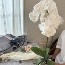 미래셀프주유소 화장실 | 테무에서 웨딩소품 사고 엄궁꽃시장에서 셀프부케 만들어서 셀프웨딩스냅 찍어본 후기