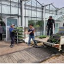 원주시농업기술센터 이미지