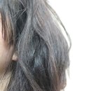 꽁's뷰티 | [꽁이 뷰티] - 헤어 에센스 추천 ♡ 푸석한 머리! 곱슬머리에 좋은 글램팜 헤어 에센스 오일