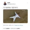 리엠 피지오 트레이닝센터 이미지