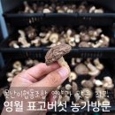 못난이 협동조합