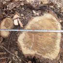 은평-039 이미지