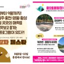 홍천와캠핑 이미지