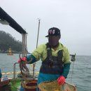 숨고름민박