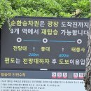 부산 태종대 다누비열차 후기🚂 태종사 하차 코스 추천하는 이유
