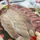 회킬러를위한배달횟집(진천점) | [내돈내산]회킬러를 위한 배달횟집 남산점 후기