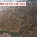지석리 경로당 네이버블로그