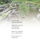 2024년 가을호/신대철 시인/산줄기 이미지