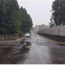 신생훼밀리 이미지