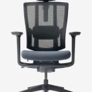 H1165 | 듀오백 브라보 BRP-200C 인체공학 의자 풀옵션 3D 팔걸이 자세 교정 메쉬 의자