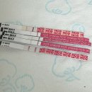 스마일본병원 | 임테기(원포 vs 스마일) 비교 및 병원 가는 시기 (6주차 아기집)