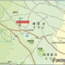 글라라목장 Daum카페