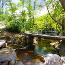 평창 태기산 캠핑장 펜션 이미지