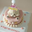 드루왕왕 | [광주강아지수제케이크/드루왕왕] 미니 반입체 케이크 + 꼬깔토퍼 (문구변경)