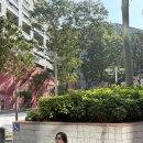 그 레벨에 잠이오니 | 홍콩 여행 3일차 / 미도카페와 미드레벨 에스컬레이터, 소호거리, 케네디타운 그리고 모트32