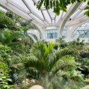 신흥제분 이미지