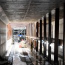 대남대로 이미지