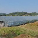 남구-020 이미지