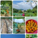 치유공간 이미지