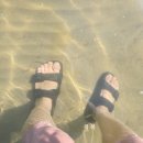 (주)플라이닥터 이미지