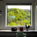 벤조롱 달빛정원 이미지